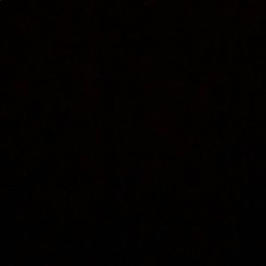 Meet your Posher, Benjamin